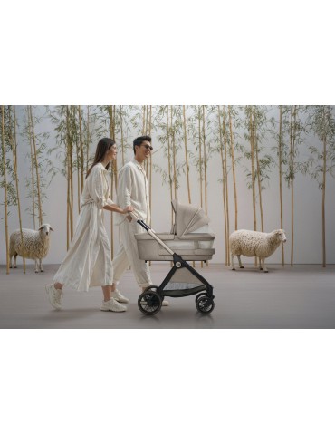 Dúo Bellagio 2.0 Primo Como Lake (Edición Limitada) + Soporte Lullaglide de Regalo 2