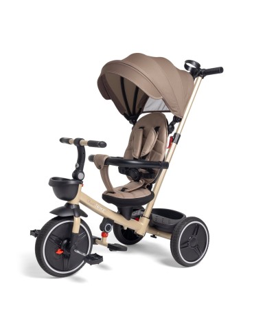 Triciclo Evolutivo Trike