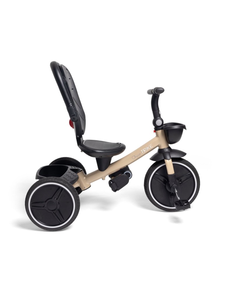 Triciclo Evolutivo Trike