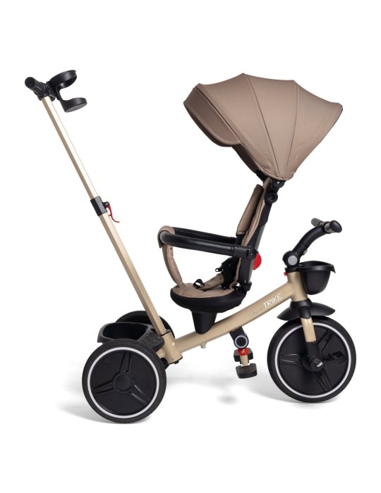 Triciclo Evolutivo Trike
