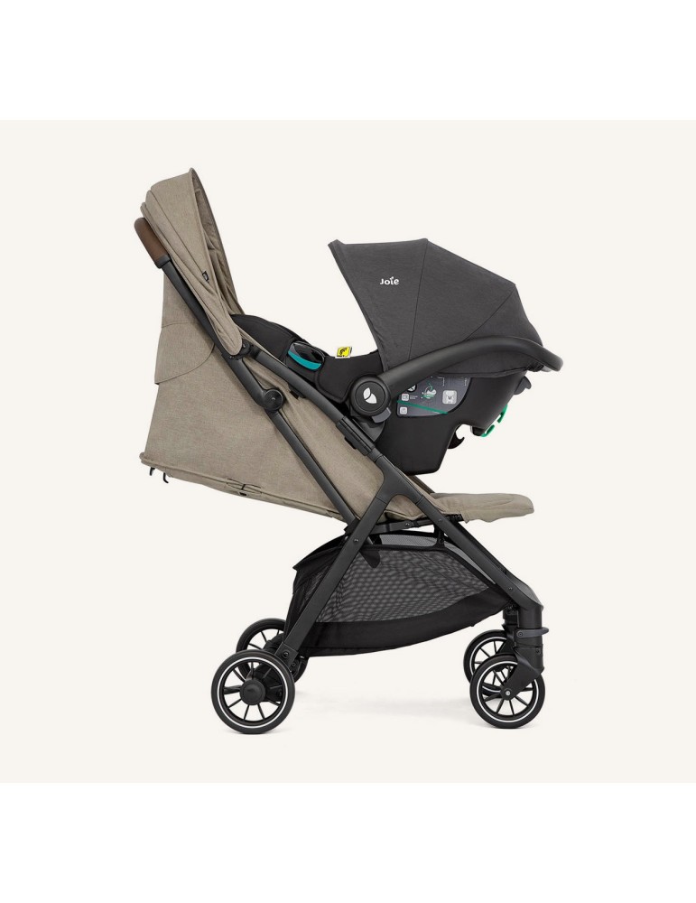 Silla de Paseo Joie Pact Pro Oak | Carapillo Bebé
