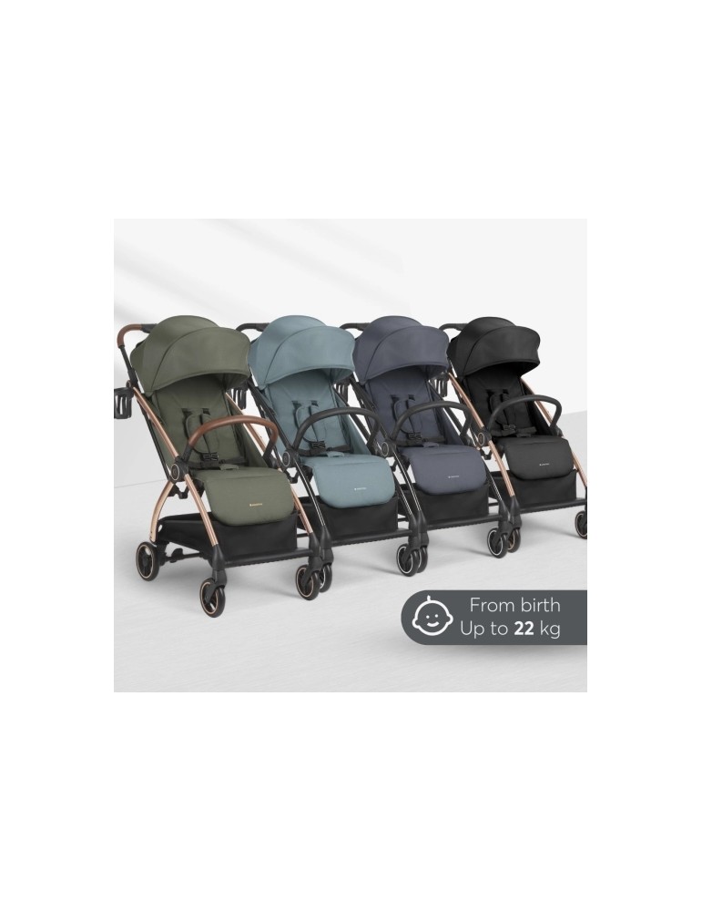 Silla de paseo Joy | Carapillo Bebé