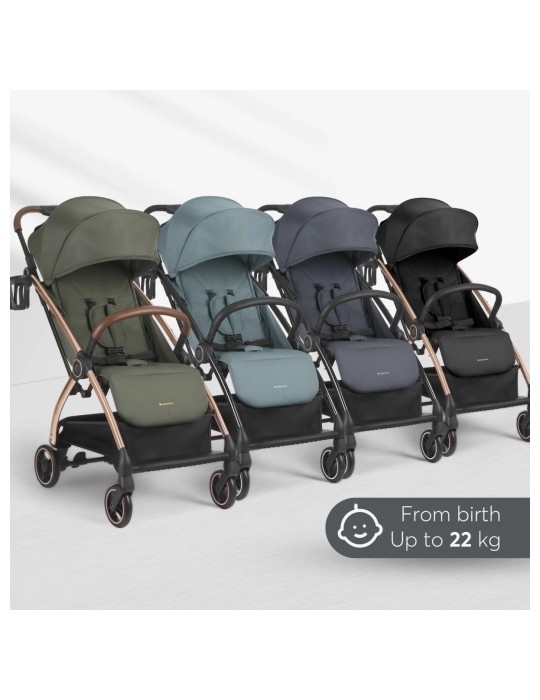 Silla de paseo Joy | Carapillo Bebé