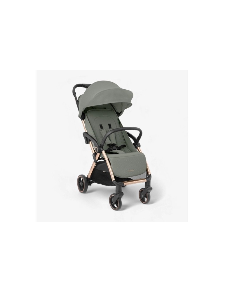 Silla de paseo Eden | Carapillo Bebé