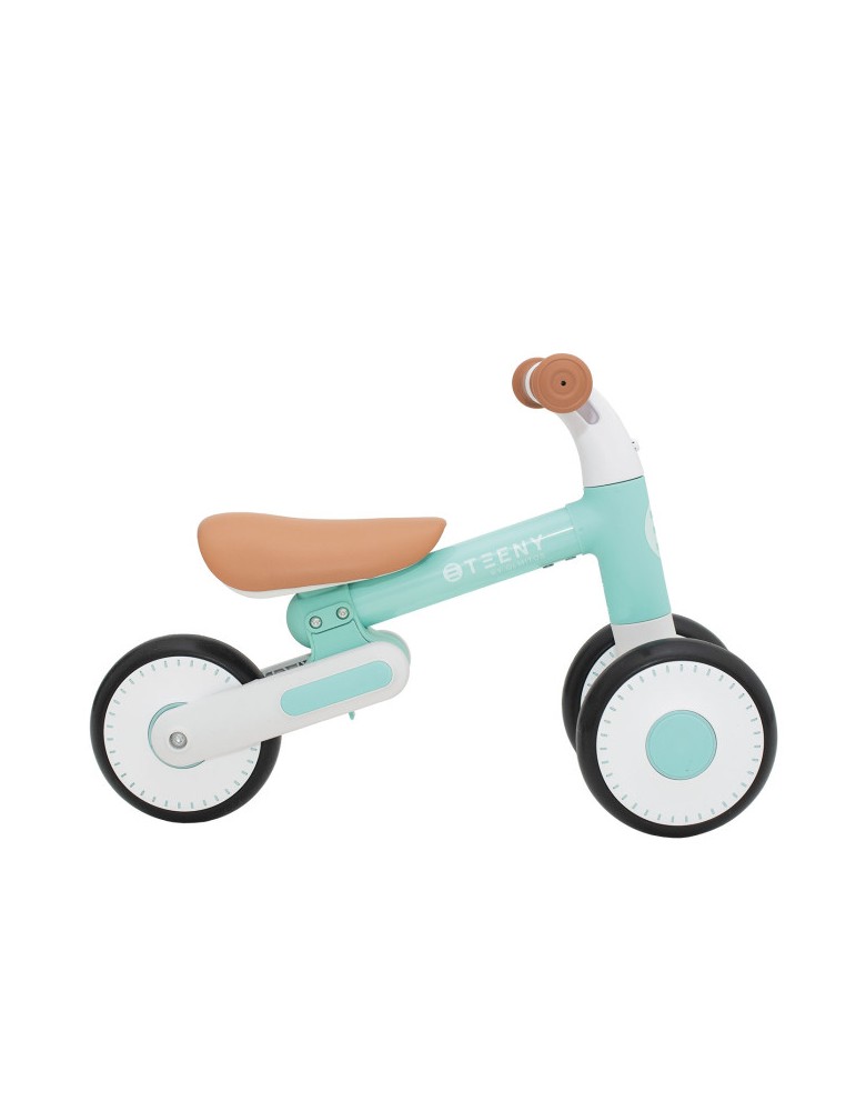 Mini Triciclo Teeny
