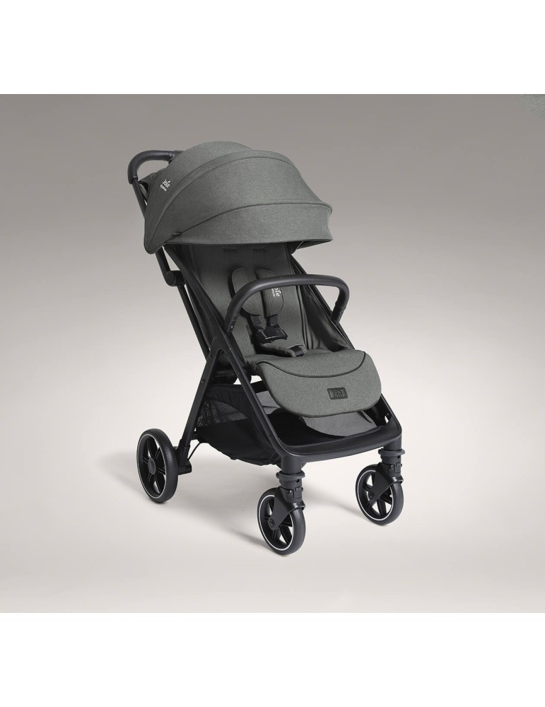 Silla de Paseo Parcel LX