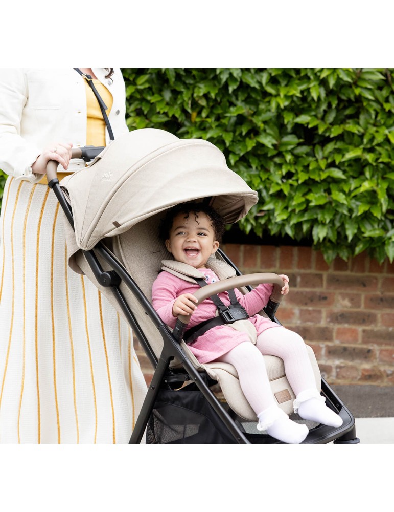 Silla de Paseo Parcel LX