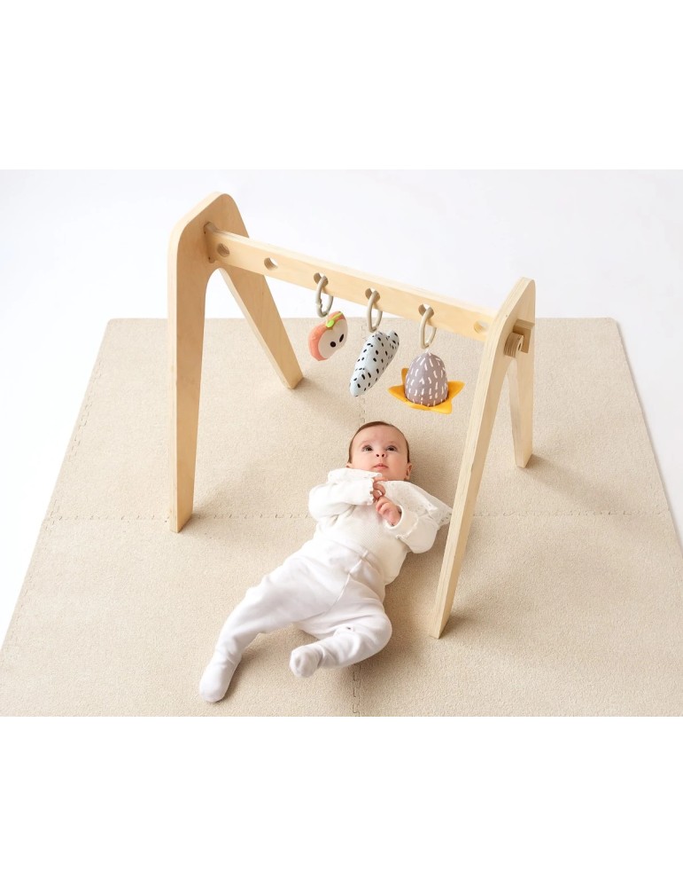 Gimnasio Infantil de Madera
