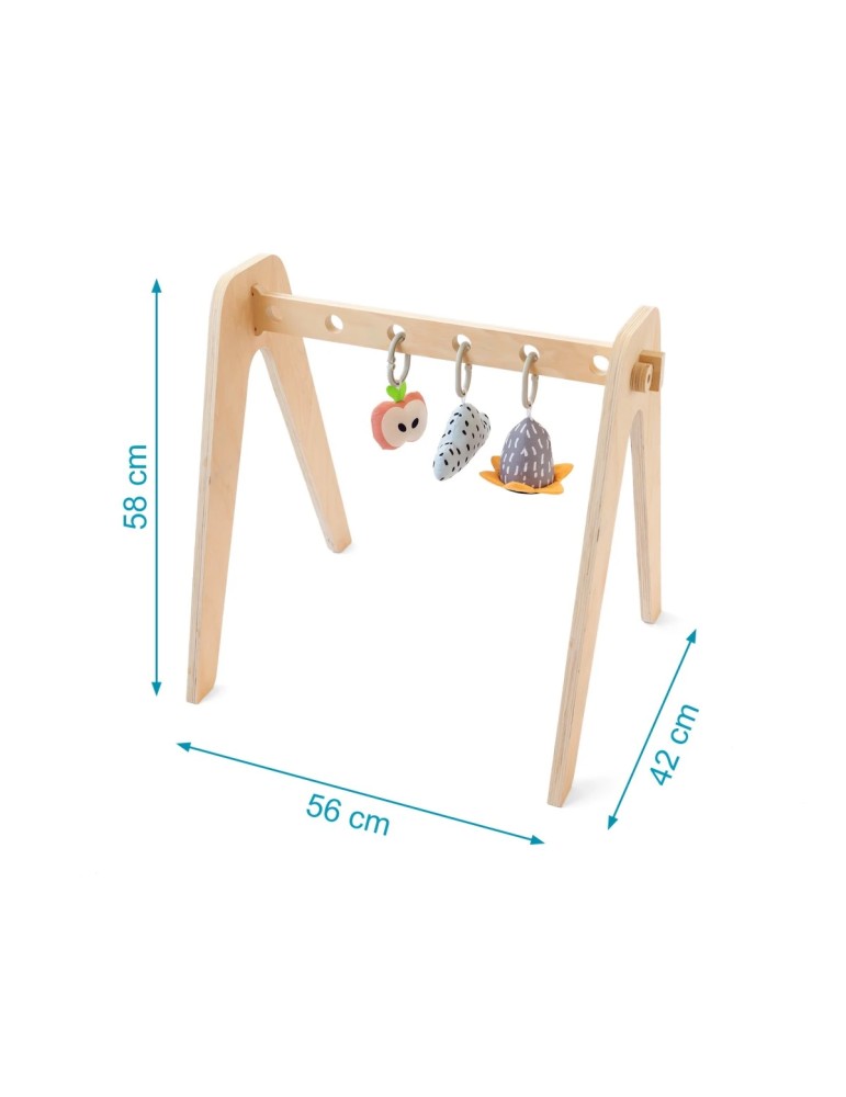 Gimnasio Infantil de Madera