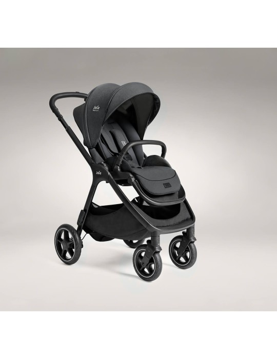 Silla Paseo Finiti