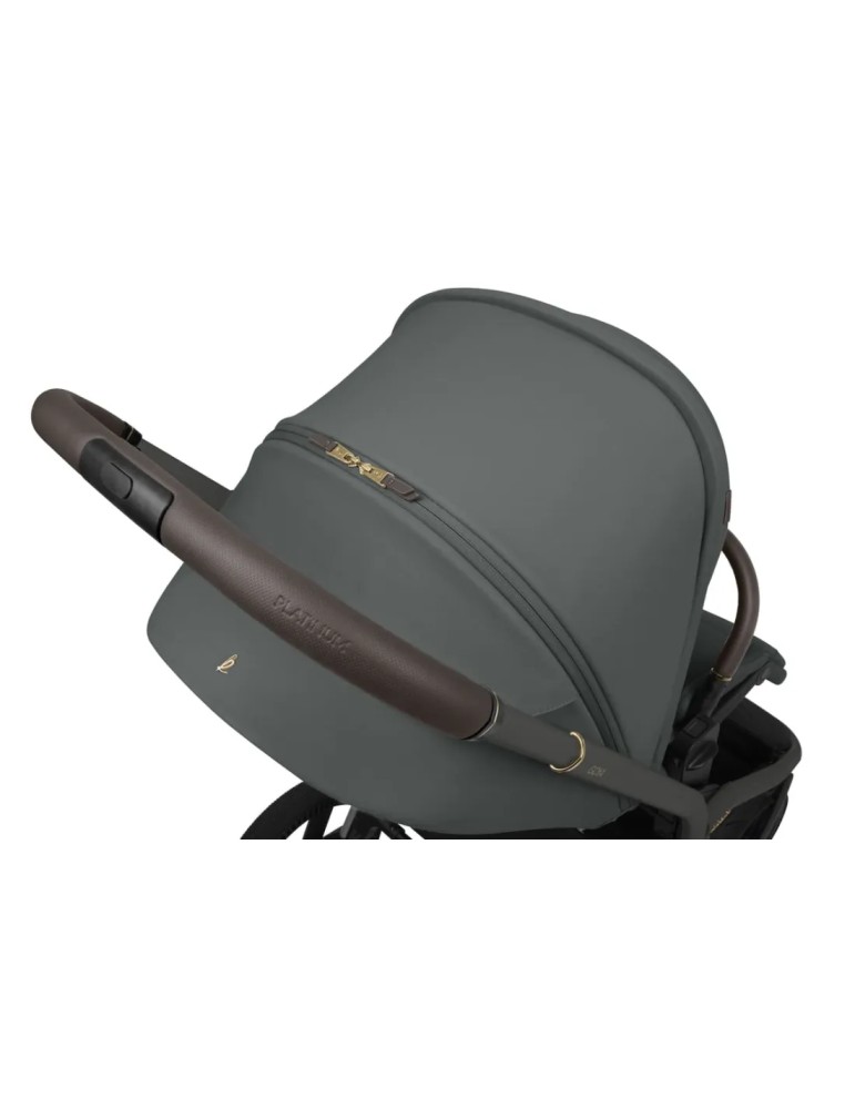 Dúo Goya Platinum